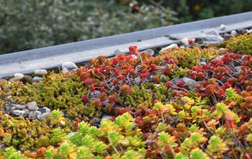 the cost of Tummel Bridge green roof installation